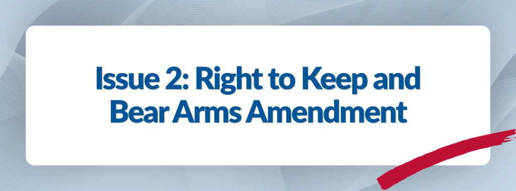 Issue 2: Right to Keep and Bear Arms Amendment